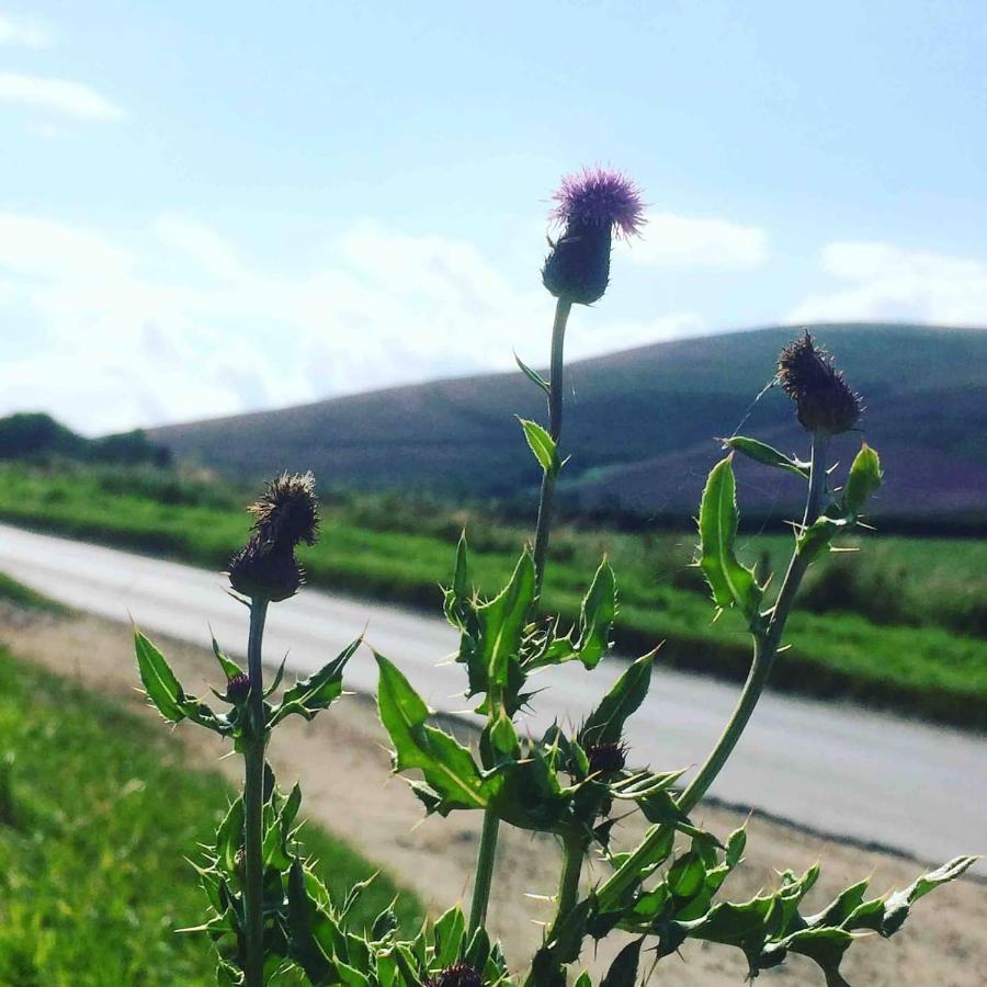 Lettoch Farm Holiday Home Dufftown Zewnętrze zdjęcie